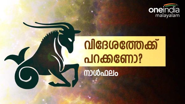 യാത്ര ചെയ്യുമ്പോൾ സൂക്ഷിക്കണം, വിലപ്പെട്ടവ നഷ്ടപ്പെടാൻ സാധ്യത, വിദേശത്ത് പോകാൻ അവസരം, നിത്യജ്യോതിഷം