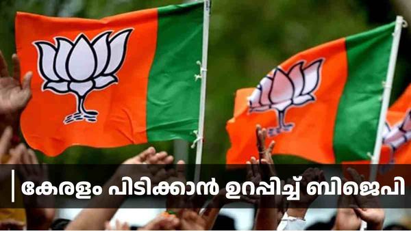 കേരളം പിടിക്കാന്‍ ബിജെപിയുടെ 'ബ്രഹ്മാസ്ത്രം'; നീക്കങ്ങള്‍ ദില്ലിയിലും എറണാകുളത്തും, പുതിയ പാര്‍ട്ടി