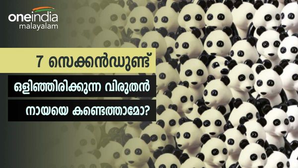 കണ്ടുപിടിക്കാനാവൂല മക്കളേ; ഇന്റലിജന്റാണെങ്കില്‍ വന്നാല്‍ മതി, ഒളിഞ്ഞിരിക്കുന്ന നായയെ കണ്ടെത്താമോ?