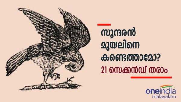ഇതാ ഒരു ചലഞ്ച്; കളിച്ച 99 ശതമാനവും തോറ്റു; കണ്ടെത്തേണ്ടത് വെറുമൊരു മുയലിനെ മാത്രം