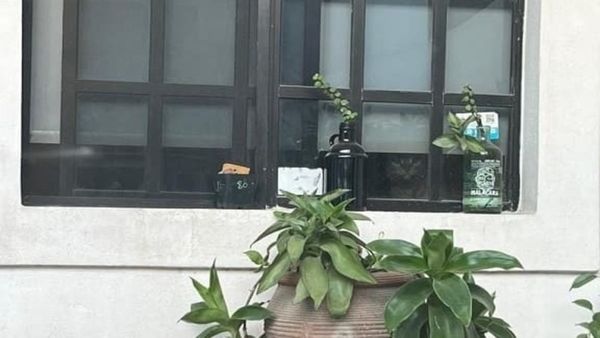 ആരും ഒന്ന് നോക്കി പോകും ഈ പൂച്ചയെ, പക്ഷേ കാണാനാവൂല; 4 സെക്കന്‍ഡില്‍ ചലഞ്ച് പൂര്‍ത്തിയാക്കാമോ?