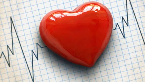 ഈ ഹൃദയത്തിന്റെ ഭാരം 181 കിലോ; ഹൃദയമിടിപ്പ് 3.2 കിലോമീറ്റർ അകലെ കേൾക്കാം..