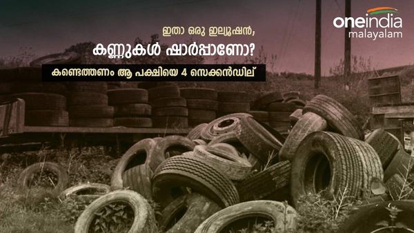 സുന്ദരിപക്ഷിയെ ആരും കാണില്ല, കണ്ണുകള്‍ കഴുകനെ പോലെയാക്കണം, 4 സെക്കന്‍ഡില്‍ കണ്ടെത്തണം!!