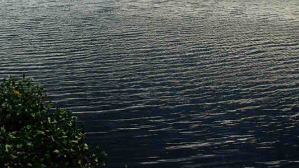 എട്ട് മീറ്റര്‍ ആഴമുണ്ടായിരുന്ന വേമ്പനാട്ടുകായല്‍ ഇപ്പോള്‍ 1.8 മീറ്റര്‍ മാത്രം; പഠന റിപ്പോര്‍ട്ട് പുറത്ത്