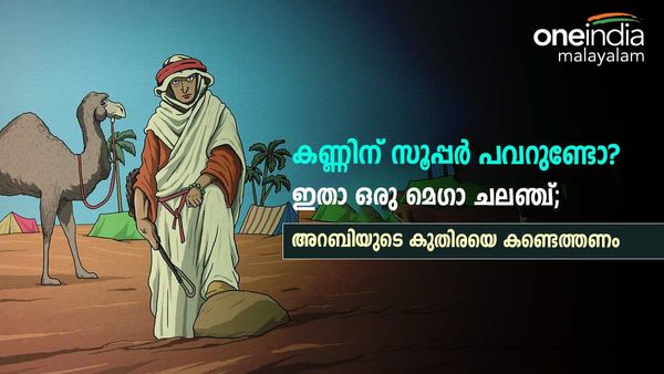 ഇതാ ഒരു മെഗാ ചലഞ്ച്, അറബിയുടെ കുതിരയെ കാണാനില്ല; മരുഭൂമിയിലുണ്ട്, 15 സെക്കന്‍ഡില്‍ കണ്ടെത്തണം