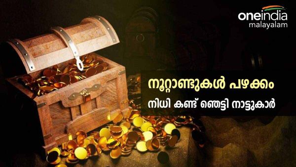 അമ്പരന്ന് നാട്ടുകാർ; കുഴിയില്‍ വര്‍ഷങ്ങള്‍ പഴക്കമുള്ള സ്വര്‍ണനാണയങ്ങള്‍, യുപിയില്‍ സംഭവിച്ചത്