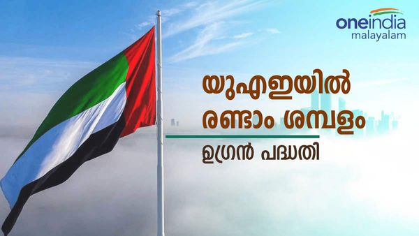 പ്രവാസികള്‍ക്ക് ചാകര; പണം നിറയും പദ്ധതിയുമായി യുഎഇ, 'രണ്ടാം ശമ്പളം' ഉഗ്രന്‍
