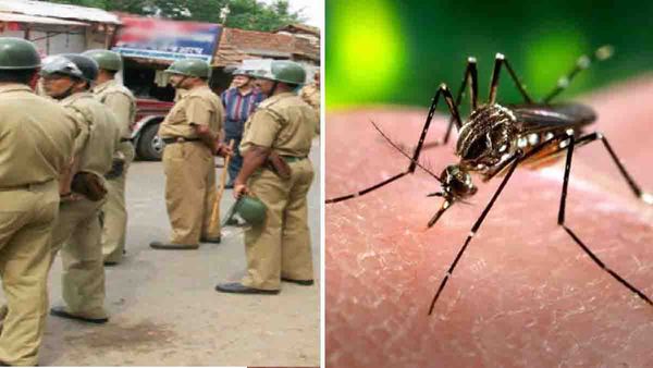 ഭാര്യയെ കൊതുക് കടിക്കുന്നെന്ന പരാതിയുമായി ഭര്‍ത്താവ്; പൊലീസ് ചെയ്തത് കണ്ടോ.. കൈയടി