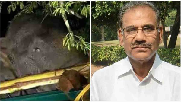 പൂജ നടത്തിയത് അരിക്കൊമ്പന്റെ ആരോഗ്യത്തിന്; വിവാദമാക്കേണ്ടെന്ന് മന്ത്രി