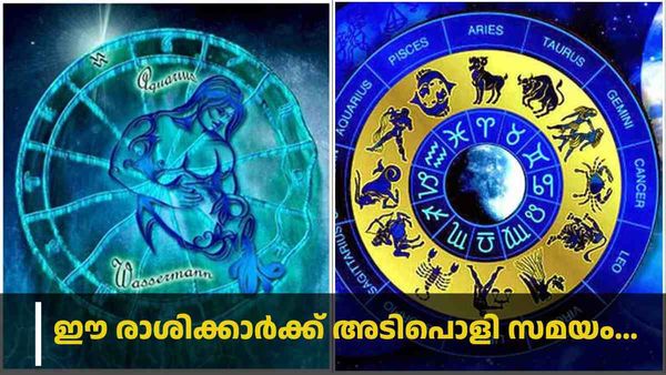 ശമ്പള വർദ്ധനവ്, ജോലിയിൽ പ്രമോഷന്‍; സമ്പത്ത് കുതിച്ചുയരും; ഈ രാശിക്കാർക്ക് രാജാവിനെ പോലെ ജീവിക്കാം