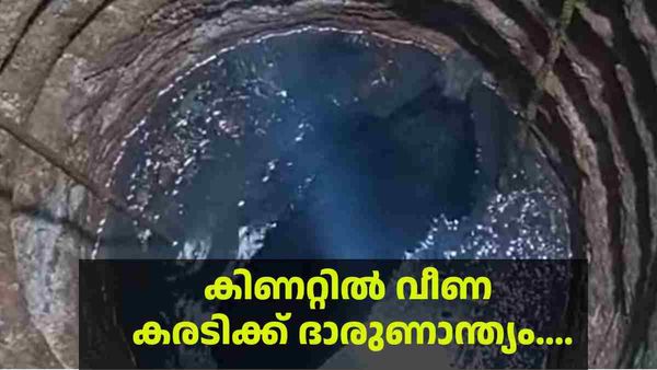 വെള്ളനാട്ടിൽ കിണറ്റില്‍ വീണ കരടി ചത്തു, മയക്കുവെടി വെച്ച് രക്ഷിക്കാൻ ശ്രമിക്കുന്നതിനിടെ ദാരുണാന്ത്യം