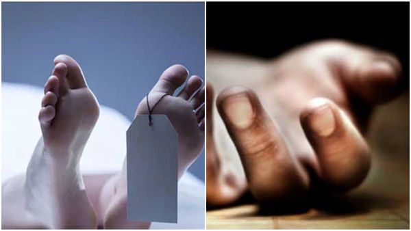 വളർത്തുകാളയുടെ കുത്തേറ്റ് ഉടമ കൊല്ലപ്പെട്ട സംഭവം: റെജിയുടെ ജീവനെടുത്തത് 300 കിലോ തൂക്കമുള്ള കാള