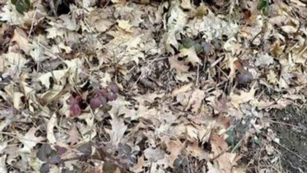 നിങ്ങളൊരു ഇന്റലിജന്റാണോ? എങ്കില്‍ ഇത് നിങ്ങള്‍ക്ക് പറ്റിയ ചലഞ്ചാണ്; ഒരു കൈ നോക്കുന്നോ