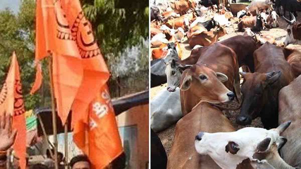 പശുവിനെ കൊന്നത് ഹിന്ദു മഹാസഭാ നേതാക്കള്‍, മുസ്ലീങ്ങള്‍ക്ക് മേല്‍ കുറ്റം ചാര്‍ത്താന്‍ ശ്രമമെന്ന് യുപി പൊലീസ്