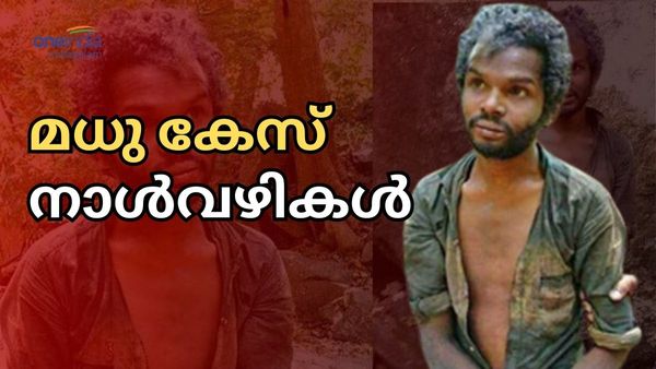 Attappadi Madhu Case Time line: കാട്ടില്‍ നിന്ന് പിടിച്ചിറക്കി കൊല; സാക്ഷികളുടെ കൂറുമാറ്റം, ഒടുവില്‍ വിധി