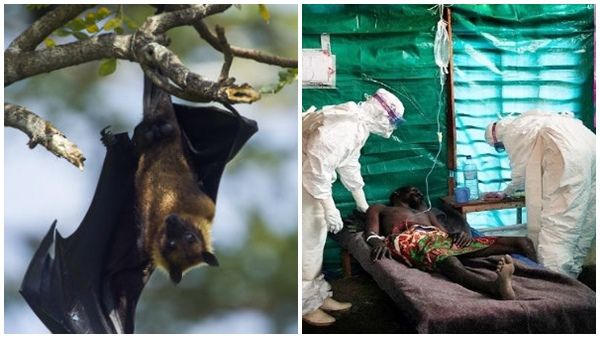 സൗദിയും ഒമാനും യാത്രാ നിയന്ത്രണം പ്രഖ്യാപിച്ചു; അമേരിക്ക ആശങ്കയില്‍, എന്താണ് മാര്‍ബര്‍ഗ് വൈറസ്