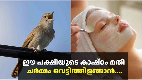 ചര്‍മ്മം തിളങ്ങാന്‍ പക്ഷി കാഷ്ഠത്തിന്റെ ഫേഷ്യല്‍; സിനിമ താരങ്ങളുടെ സൗന്ദര്യ രഹസ്യം, വിപണിയില്‍ ഹിറ്റ്