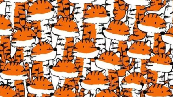 കളിച്ചവരൊക്കെ തോറ്റു, ഈ ചലഞ്ച് വെറുതെ ഏറ്റെടുക്കേണ്ട, ടഫ് എന്ന് പറഞ്ഞാല്‍ ഒടുക്കത്തെ ടഫ്