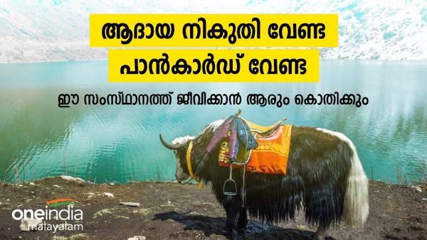 ഈ സംസ്ഥാനത്തുള്ളവര്‍ക്ക് ആദായനികുതിയില്ല; പാന്‍കാര്‍ഡ് വേണ്ട... ഇന്ത്യയിലെ ടാക്‌സ് ഹെവന്‍