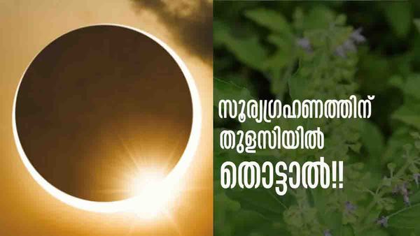 Solar Eclipse 2023: സൂര്യഗ്രഹണ സമയത്ത് തുളസി ചെടി തൊടാന്‍ പാടില്ല, കാരണം ഇത്; ശ്രദ്ധിക്കണം ഇക്കാര്യങ്ങള്‍