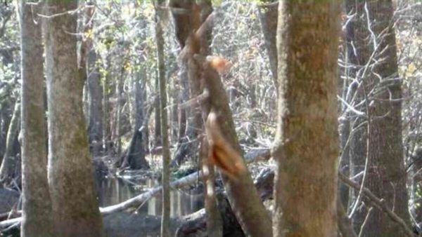 ഇത് കുറച്ച് കടുപ്പം; ഈ ഗെയിം കളിച്ചതില്‍ വിജയിച്ചത് 2 ശതമാനം; ഇന്റലിജന്റാണെങ്കില്‍ കണ്ടെത്തൂ