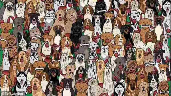 സോസേജും കടിച്ച് അവന്‍ മുങ്ങി, ആ കൂട്ടത്തിലുണ്ട് ആ നായ, 15 സെക്കന്‍ഡില്‍ കണ്ടെത്തണം