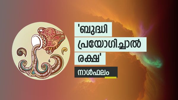 വിലപ്പെട്ട വസ്തുക്കൾ നഷ്ടപ്പെടും, നാക്ക് കൊണ്ട് ശത്രുക്കളെ ഉണ്ടാക്കും, പറ്റിക്കപ്പെടും, നാൾഫലം
