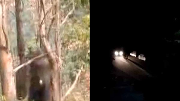 ചക്കക്കൊമ്പനെ കാറിടിച്ചു; അക്രമാസക്തനായി കൊമ്പന്‍, കാര്‍ തകര്‍ക്കാന്‍ ശ്രമം