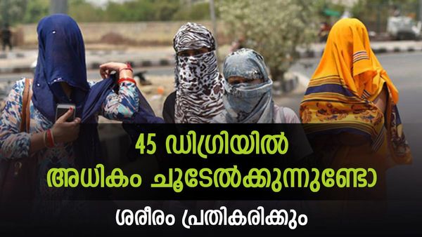 കൊടും ചൂടില്‍ രാജ്യം; കേരളവും പിന്നിലല്ല; 45 ഡിഗ്രി ചൂടേല്‍ക്കുന്നുണ്ടോ? ഇക്കാര്യങ്ങള്‍ സംഭവിക്കാം