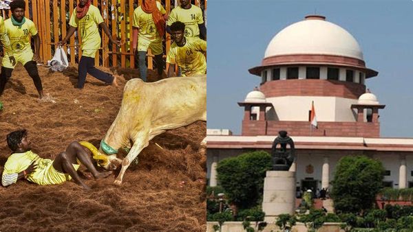 തമിഴ് സംസ്കാരത്തിന്റെ ഭാഗം; ജല്ലിക്കട്ട് നിയമം ശരിവെച്ച് സുപ്രീം കോടതി