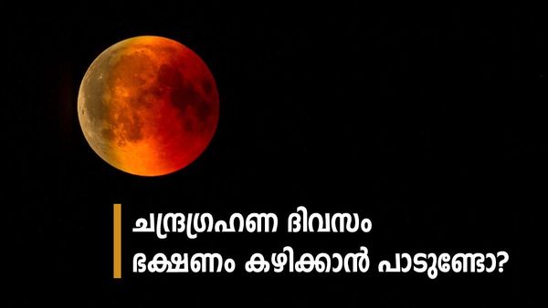 തുളസിയും മഞ്ഞളും ഉത്തമം.. ചിക്കനും മട്ടനും വേണ്ട; ചന്ദ്ര​ഗ്രഹണ ​ദിവസത്തെ ഭക്ഷണം സൂക്ഷിച്ചുമതി