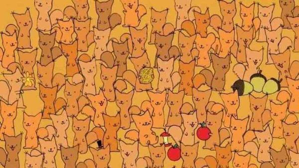 അമ്പടാ വേഷം മാറിയിരിപ്പാണ്, ആരും കണ്ടുപിടിക്കില്ലെന്നാണ് ഭാവം, ചലഞ്ചിന് റെഡിയാണെങ്കില്‍ കണ്ടെത്തൂ