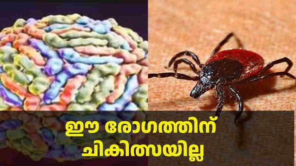 ആശങ്ക വിതച്ച് പുതിയ വൈറസ്; എന്താണ് പൊവാസന്‍ വൈറസ്, അറിയേണ്ട കാര്യങ്ങള്‍