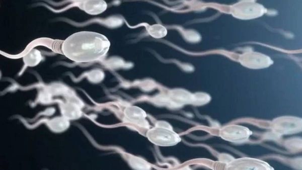 ഉടൻ കുട്ടികൾ വേണ്ടേ? ടെൻഷൻ കൂടാതെ ലൈം​ഗികബന്ധത്തിൽ ഏർപ്പെടാം; ​ഗർഭനിരോധനത്തിനായി ചെയ്യേണ്ടത്