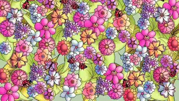 എന്തൊരു ലുക്കാണ് ഈ ചിത്രം, ധാരാളം പൂക്കള്‍ അതാ, അവിടെയുണ്ട് ചിത്രശലഭം, കണ്ടുപിടിക്കൂ