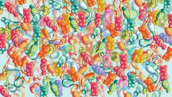 ചലഞ്ച് ഒക്കെ ഇഷ്ടമാണോ? അപ്പോള്‍ എങ്ങനെയാ കണ്ടുപിടിക്കുകയല്ലേ, ഇവനെ തിരഞ്ഞ് പിടിക്കണം