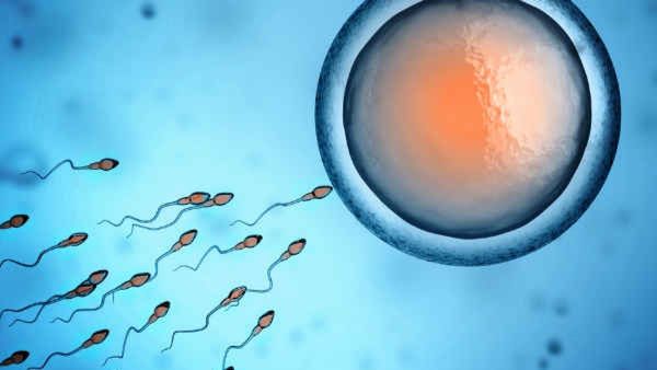 ബീജവും അണ്ഡവും ഇല്ലാതെ കുഞ്ഞ് ജനിക്കുമോ? ശാസ്ത്രലോകത്തിന്റെ നിർണായക കണ്ടെത്തല്‍