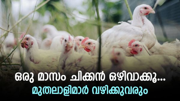 ബീഫിനെ വെല്ലുന്ന ചിക്കന്‍; കിലോയ്ക്ക് 250... ഇനിയും കൂട്ടേണ്ടി വരുമെന്ന് വ്യാപാരികള്‍
