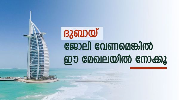 യുഎഇയില്‍ ജോലിക്ക് ശ്രമിക്കുകയാണോ: എങ്കില്‍ ഈ മേഖലകളില്‍ ശ്രദ്ധിക്കൂ.. നിരവധി അവസരങ്ങള്‍