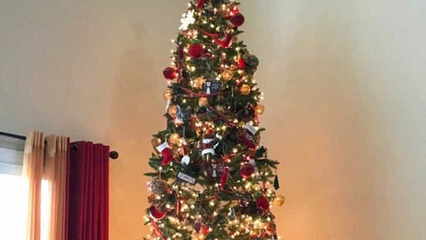 ഇതൊരു ക്രിസ്മസ് ട്രീ മാത്രമാണോ? അല്ല, പിന്നെന്താണെന്ന് കണ്ടുപിടിക്കൂ