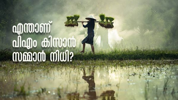 കര്‍ഷകര്‍ക്ക് 6000 രൂപ സഹായം; എന്താണ് പിഎം കിസാന്‍ സമ്മാന്‍ നിധി?