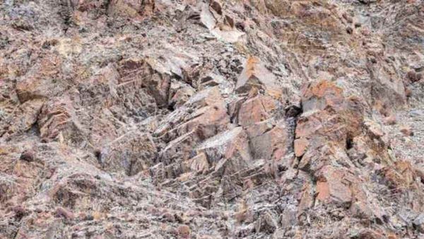 മറഞ്ഞിരിക്കുകയാണ്, കിടിലനൊരു ഹിമപുലി, കണ്ണുകള്‍ക്ക് മികവുണ്ടെങ്കില്‍ കണ്ടെത്തൂ