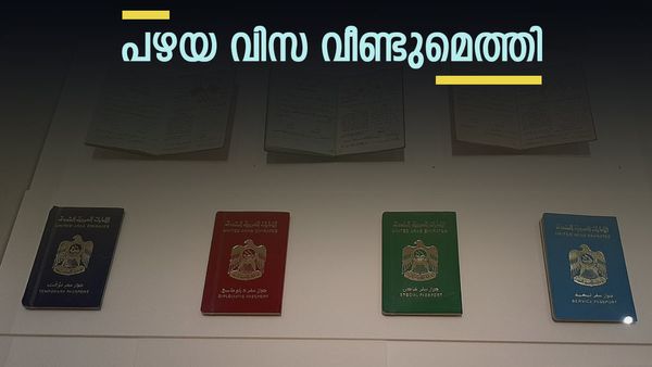 UAE Visa: യുഎഇ പ്രവാസികള്‍ക്ക് ആഹ്ലാദം; ത്രൈമാസ വിസിറ്റ് വിസ വീണ്ടും... പുതിയ തീരുമാനങ്ങള്‍