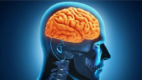 തലച്ചോർ തിന്നുന്ന അമീബ, എന്താണ് പ്രൈമറി അമീബിക്ക് മെനിഞ്ചോ എങ്കഫലൈറ്റിസ്? ലക്ഷണങ്ങള്‍; അറിയേണ്ടതെല്ലാം