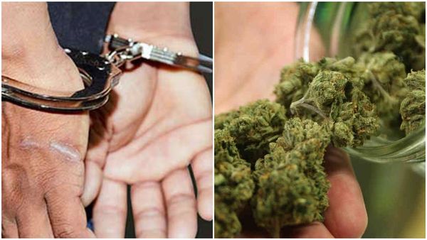 തിരുവനന്തപുരത്ത് ലഹരിവേട്ട; കാറിൽ കൊണ്ടുവന്ന 100 കിലോയിലധികം കഞ്ചാവ് പിടികൂടി