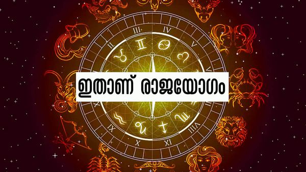 സമ്പത്ത് കുമിഞ്ഞ് കൂടും, പുതിയ വഴികളിലൂടെ വരുമാനം, ഇതാണ് രാജയോഗം; ഈ രാശിക്കാരാണോ?
