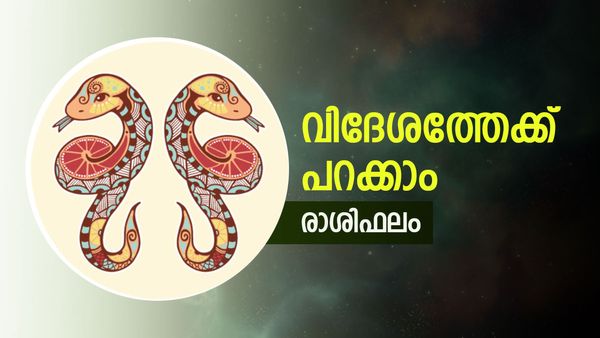 കാത്തിരിക്കുന്നത് ഒരുപിടി സന്തോഷങ്ങൾ, വിദേശത്ത് പോകാം, വീട്ടിൽ മംഗളകർമ്മങ്ങൾ, രാശിഫലം