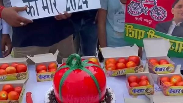 അഖിലേഷ് യാദവിന്റെ പിറന്നാളിന് മുറിച്ചത് ' തക്കാളി  കേക്ക്' ;  കാരണമുണ്ടെന്ന് പാർട്ടി പ്രവർത്തകർ