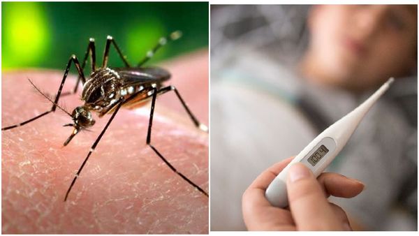 ഡെങ്കിപ്പനി: സംസ്ഥാനത്ത് 138 ഹോട്സ്പോട്ടുകൾ; ജാ​ഗ്രതപുലർത്താൻ നിർദ്ദേശം