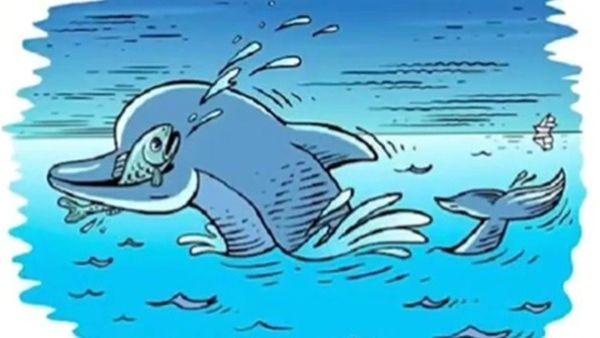 കണ്ണ് പവര്‍ഫുള്‍ ആണോ? ആ നില്‍ക്കുന്നത് ഡോള്‍ഫിനാണോ? മറ്റെന്തെങ്കിലും അവിടെയുണ്ടോ, കണ്ടെത്തൂ